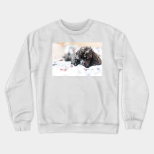 Suburban Princess 2 Crewneck Sweatshirt